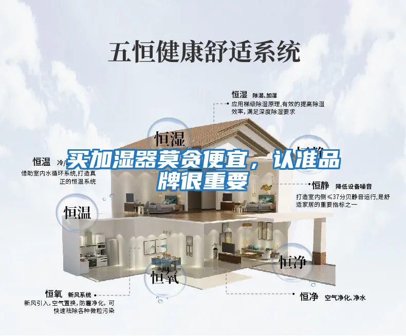 买加湿器莫贪便宜，认准品牌很重要