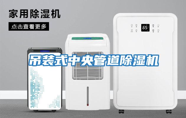 吊装式中央管道除湿机