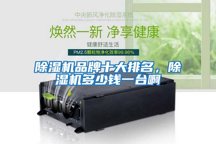 除湿机品牌十大排名，除湿机多少钱一台啊