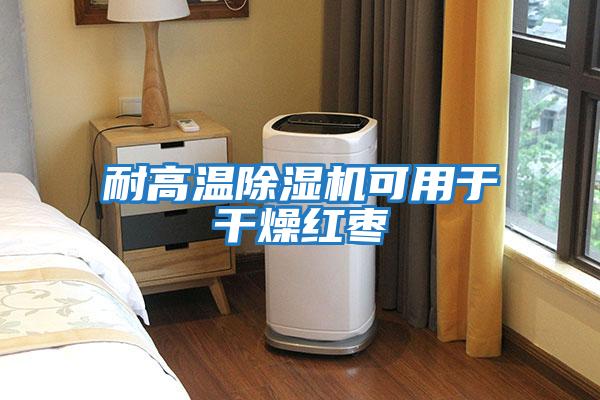 耐高温除湿机可用于干燥红枣