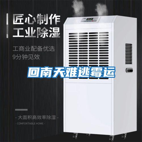 回南天难逃霉运