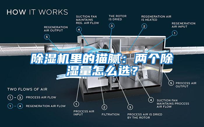 除湿机里的猫腻：两个除湿量怎么选？