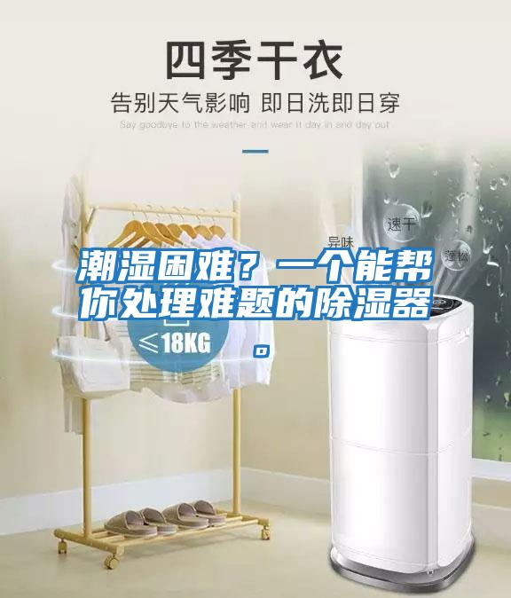 潮湿困难？一个能帮你处理难题的除湿器。