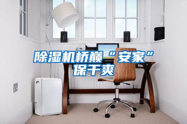 除湿机桥巅“安家”保干爽