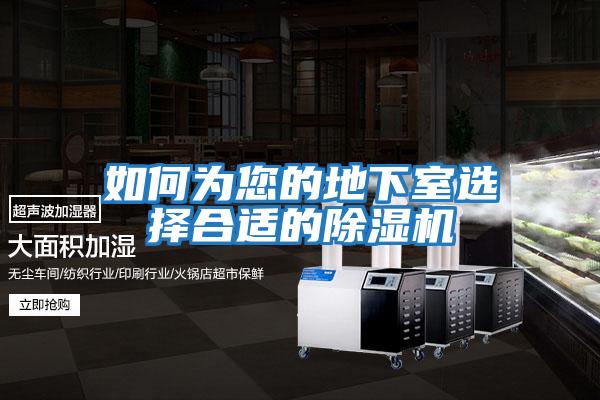 如何为您的地下室选择合适的除湿机