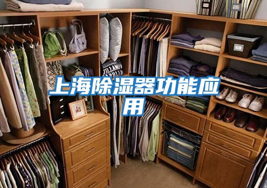 上海除湿器功能应用