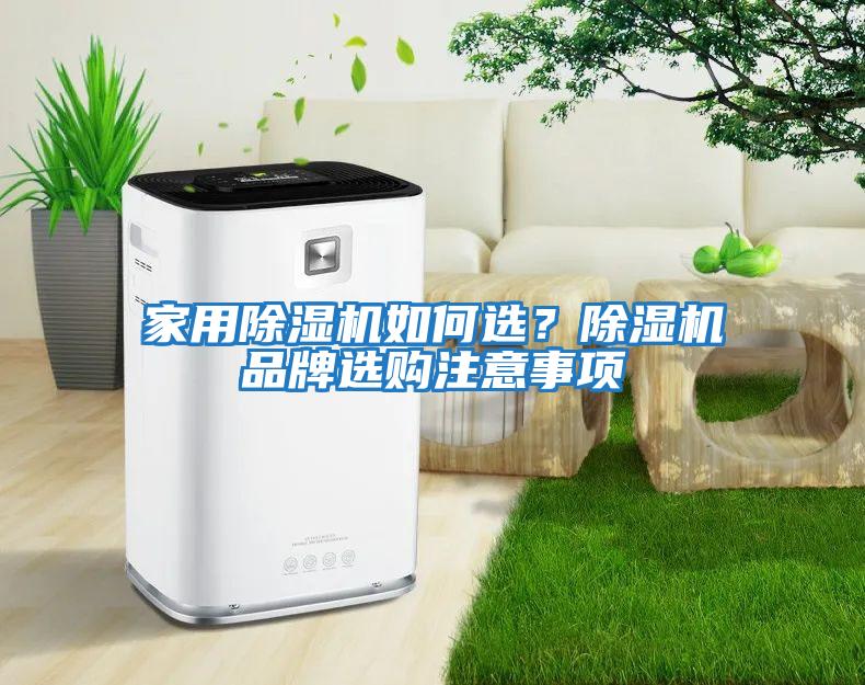 家用除湿机如何选？除湿机品牌选购注意事项
