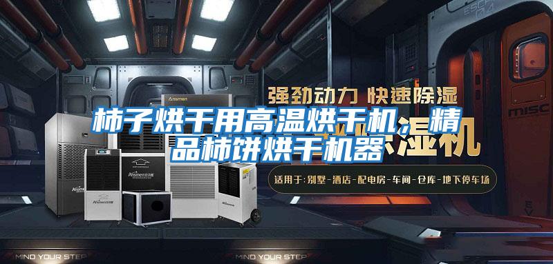 柿子烘干用高温烘干机，精品柿饼烘干机器