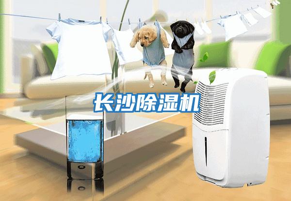 长沙除湿机