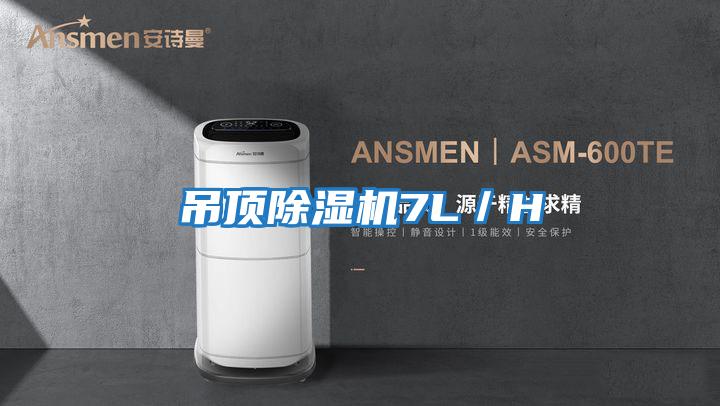 吊顶除湿机7L／H
