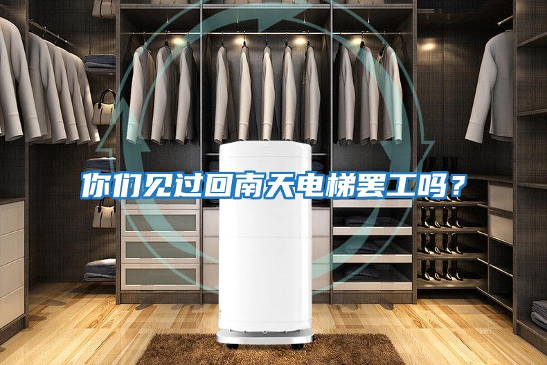 你们见过回南天电梯罢工吗？