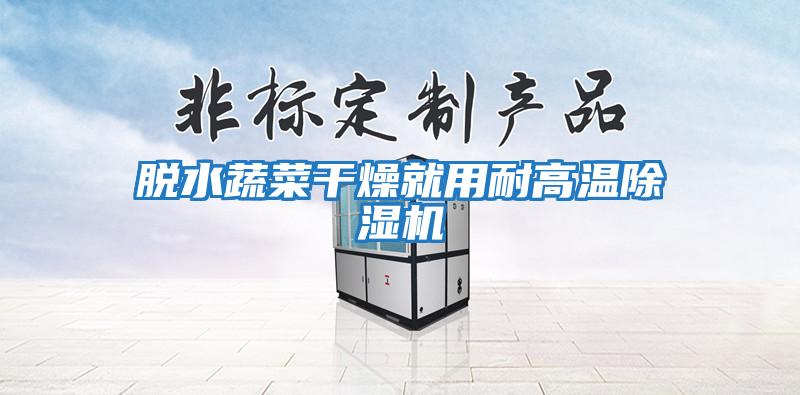脱水蔬菜干燥就用耐高温除湿机
