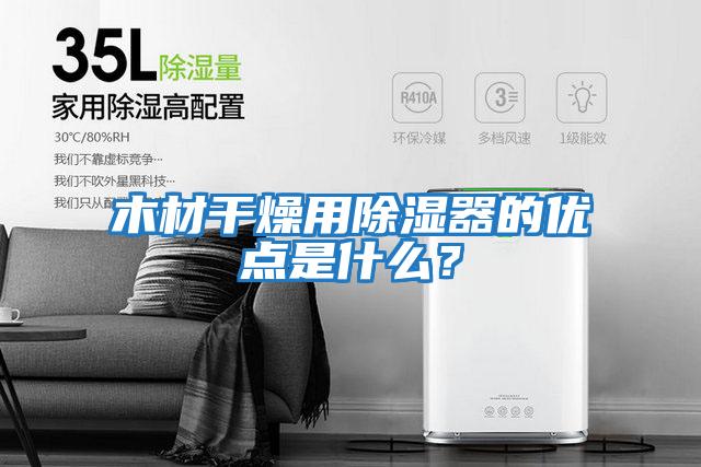 木材干燥用除湿器的优点是什么？