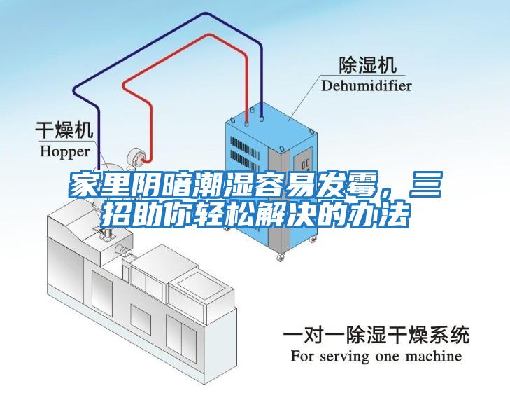 家里阴暗潮湿容易发霉，三招助你轻松解决的办法