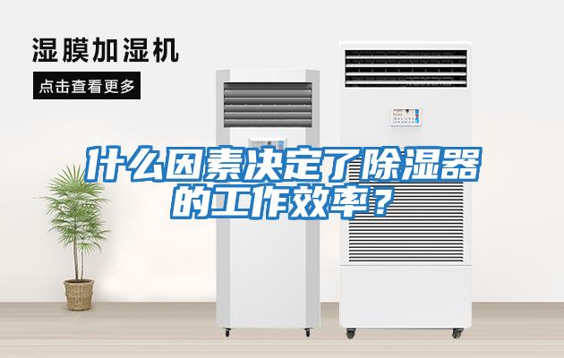 什么因素决定了除湿器的工作效率？