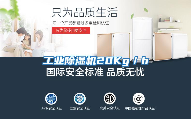 工业除湿机20Kg／h