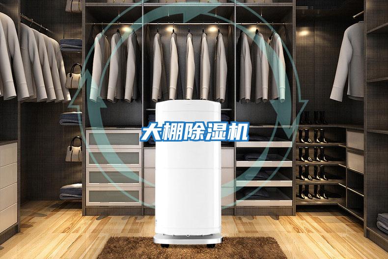 大棚除湿机