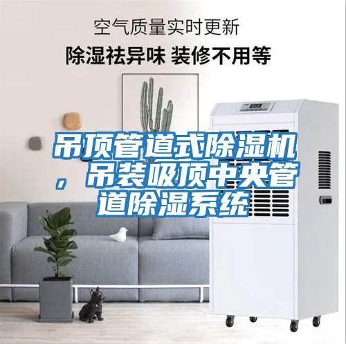 吊顶管道式除湿机，吊装吸顶中央管道除湿系统