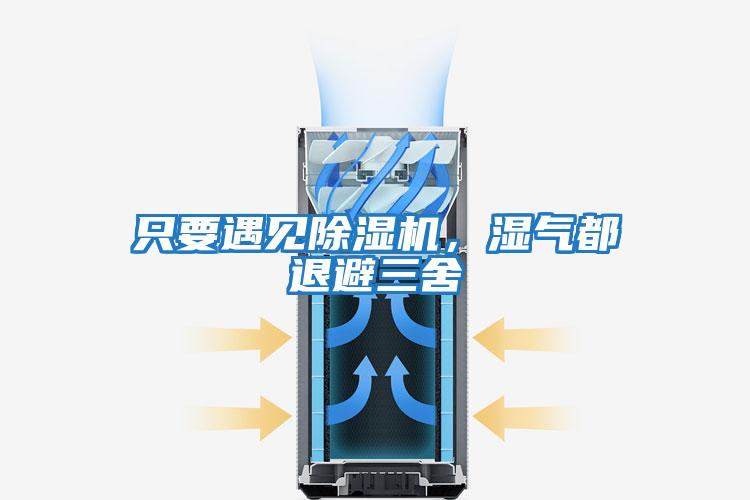 只要遇见除湿机，湿气都退避三舍