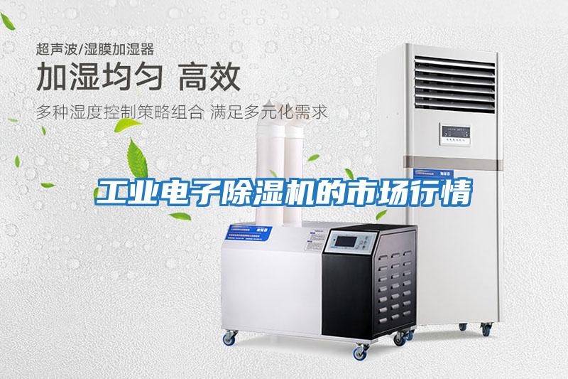 工业电子除湿机的市场行情