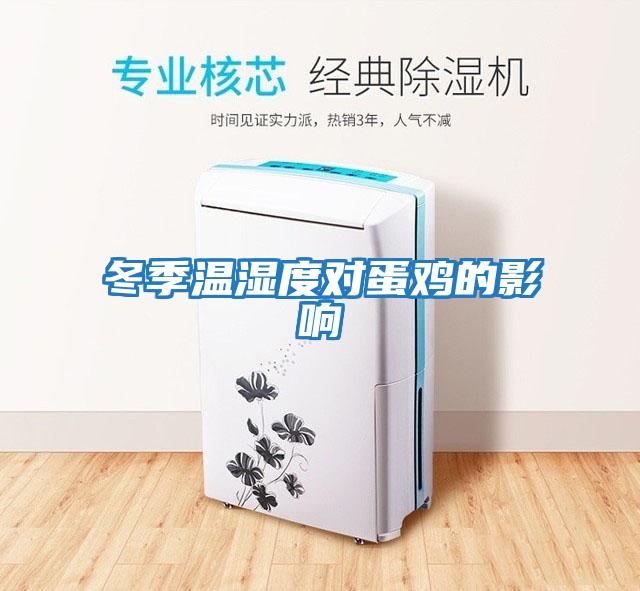 冬季温湿度对蛋鸡的影响