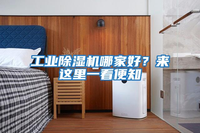 工业除湿机哪家好？来这里一看便知