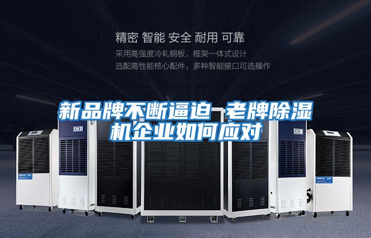 新品牌不断逼迫 老牌除湿机企业如何应对