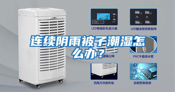连续阴雨被子潮湿怎么办？