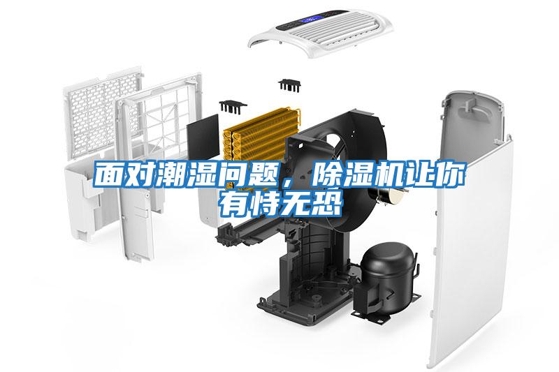 面对潮湿问题，除湿机让你有恃无恐