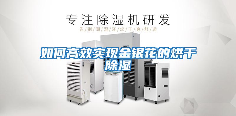 如何高效实现金银花的烘干除湿