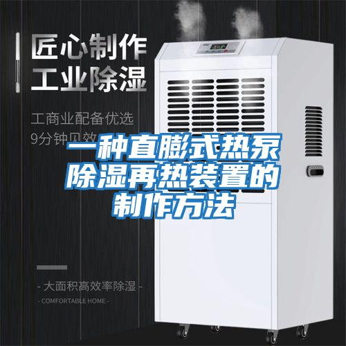 一种直膨式热泵除湿再热装置的制作方法