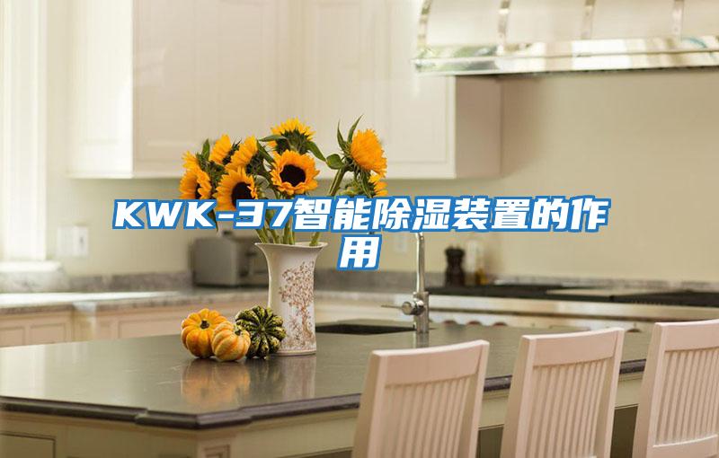 KWK-37智能除湿装置的作用