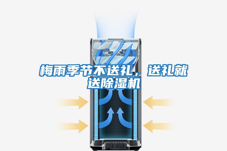 梅雨季节不送礼，送礼就送除湿机