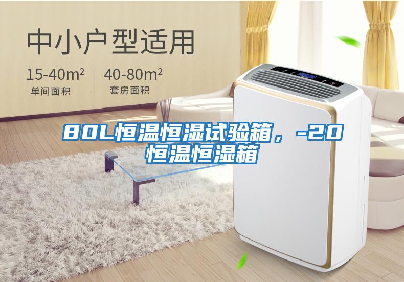 80L恒温恒湿试验箱，-20℃恒温恒湿箱