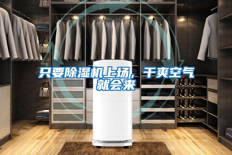 只要除湿机上场,干爽空气就会来