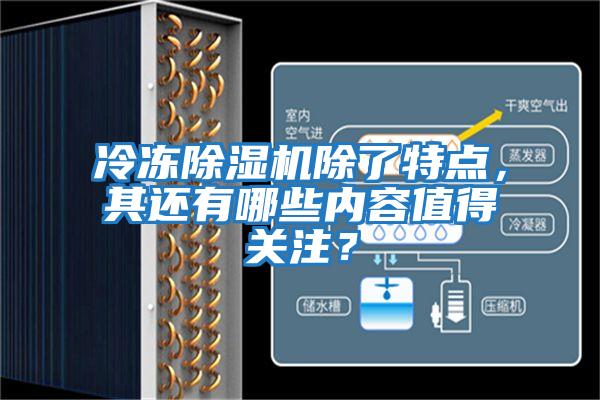 冷冻除湿机除了特点,其还有哪些内容值得关注?
