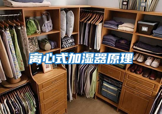 离心式加湿器原理