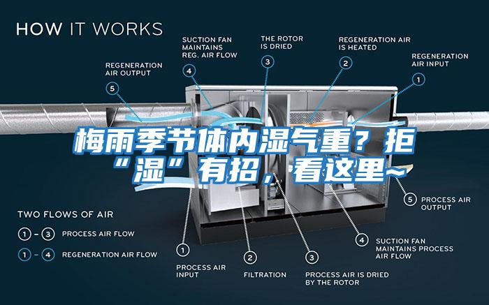 梅雨季节体内湿气重？拒“湿”有招，看这里~