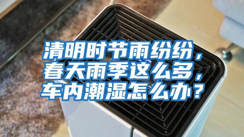 清明时节雨纷纷，春天雨季这么多，车内潮湿怎么办？