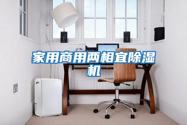 家用商用两相宜除湿机