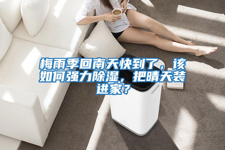 梅雨季回南天快到了，该如何强力除湿，把晴天装进家？