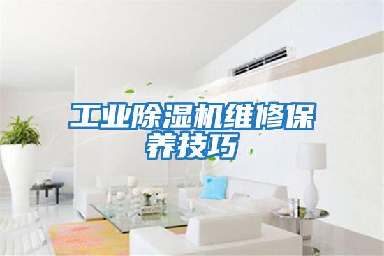 工业除湿机维修保养技巧