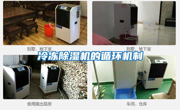 冷冻除湿机的循环机制