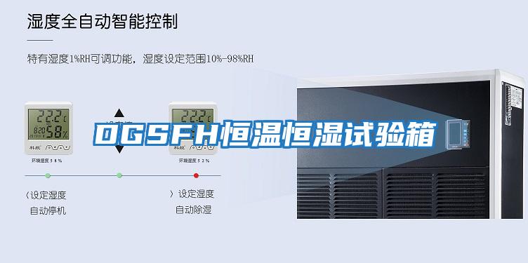 DGSFH恒温恒湿试验箱