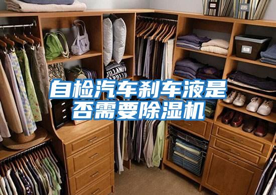 自检汽车刹车液是否需要除湿机