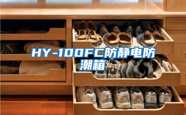 HY-100FC防静电防潮箱