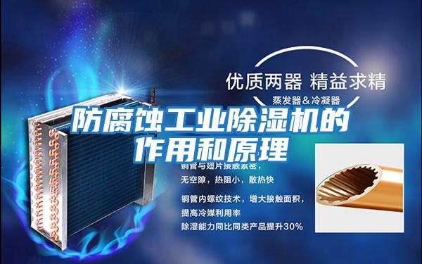 防腐蚀工业除湿机的作用和原理