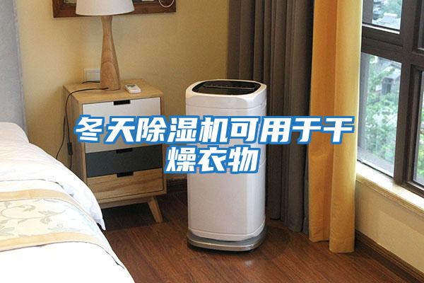 冬天除湿机可用于干燥衣物