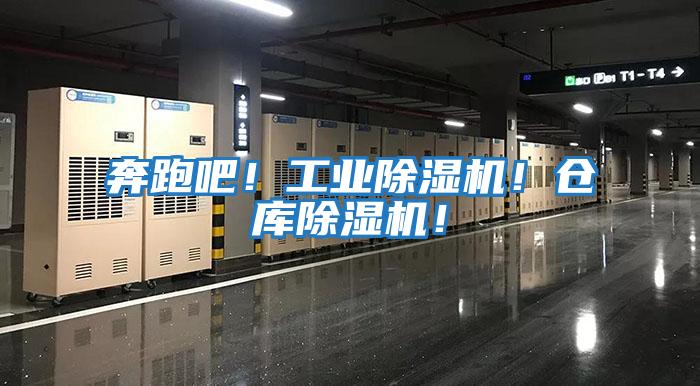 奔跑吧！工业除湿机！仓库除湿机！