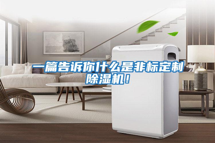 一篇告诉你什么是非标定制除湿机！